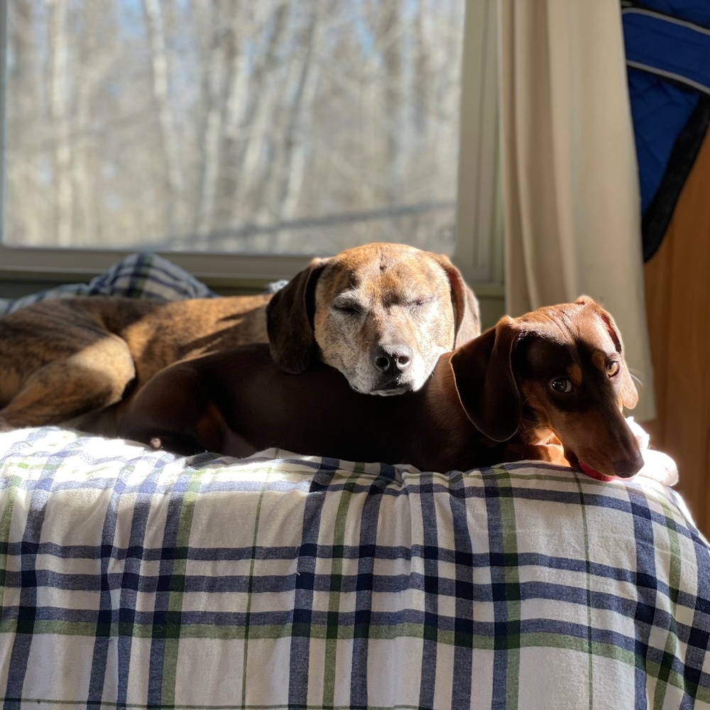 Meet your Posher, K.